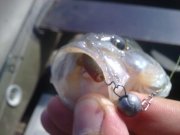 11082011610.jpg
