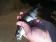 IMG_1028.jpg