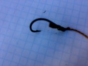 13082011123.jpg