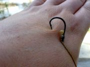 13082011126.jpg