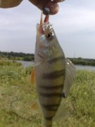 12082011667.jpg