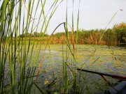 DSCN0807.jpg