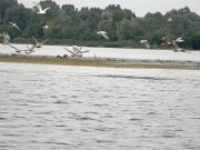 DSCN0866.jpg