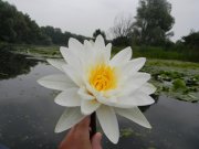 DSCN0882.jpg