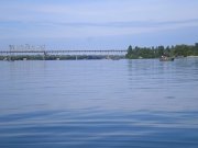 P1010031.jpg