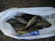 kilchen_20082011 003.jpg