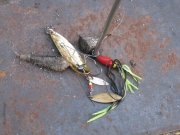 Рыбалка 2011 013.jpg