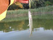IMG_6636.JPG