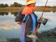 IMG_0092.jpg