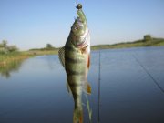 IMG_0104.jpg