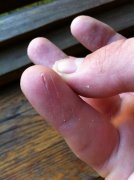 IMG_1520.jpg