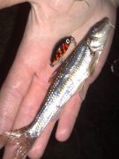 03052010324.jpg