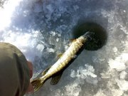 08032011334.jpg