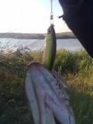 26082011105.jpg