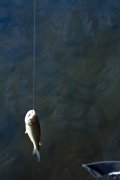 IMG_1653.jpg