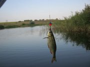 IMG_0161.jpg
