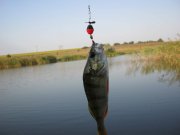 IMG_0162.jpg