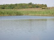 IMG_0171.jpg