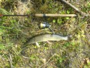 DSC03247.JPG