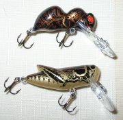 DSCN8607.jpg