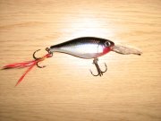 IMG_0023.jpg