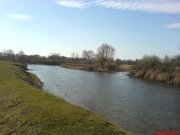 DSC00572.JPG