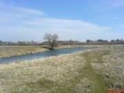 DSC00574.JPG