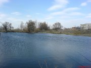 DSC00576.JPG