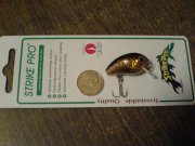 DSC02448.JPG