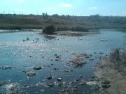 IMG00034-20110906-1210.jpg