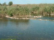 IMG00042-20110906-1531.jpg