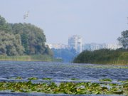 Изображение 010.jpg
