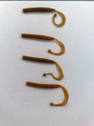 13092011715.jpg