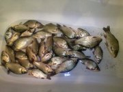 15092011654.jpg