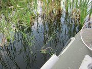 IMG_0187.jpg