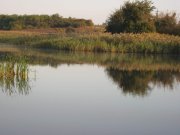 IMG_0188.jpg