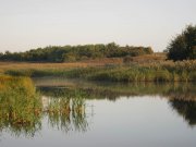 IMG_0189.jpg