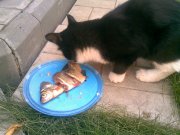 20092011(001).jpg