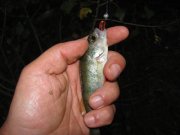 IMG_2086.JPG