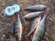 21092011244н.JPG