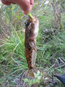 IMG_2092.JPG