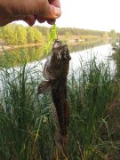 IMG_2094.JPG