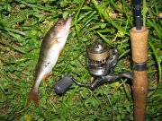 IMG_2095.JPG
