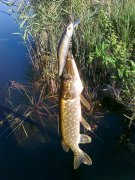26092011124.jpg