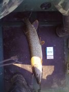 26092011121.jpg