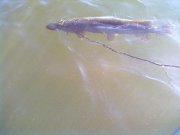 26092011122.jpg