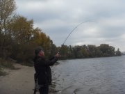 SDC15608.JPG
