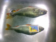 25092011125.jpg