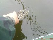 DSC0176.jpg