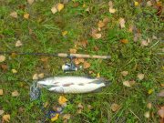DSC03285.jpg